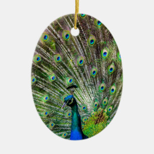 Atemberaubende Pfau- und Federn Zubehör für Fotos Keramikornament