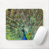 Atemberaubende Pfau- und Federn Zubehör für Fotos Mousepad (Mit Mouse)