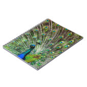 Atemberaubende Pfau- und Federn Zubehör für Fotos Notizblock (Linke Seite)