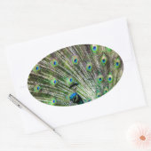 Atemberaubende Pfau- und Federn Zubehör für Fotos Ovaler Aufkleber (Umschlag)