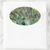 Atemberaubende Pfau- und Federn Zubehör für Fotos Ovaler Aufkleber (Tasche)