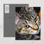 Atemberaubende Postkarte (Vorne/Hinten)