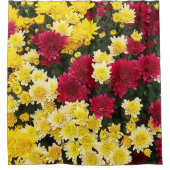 Atemberaubende Red Gold Herbst Chrysanthema Blume Duschvorhang (Vorderseite)