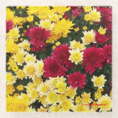 Atemberaubende Red Gold Herbst Chrysanthema Blume Glasuntersetzer (Vorderseite)