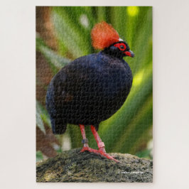 Atemberaubende Rodelholzpartridge Puzzle
