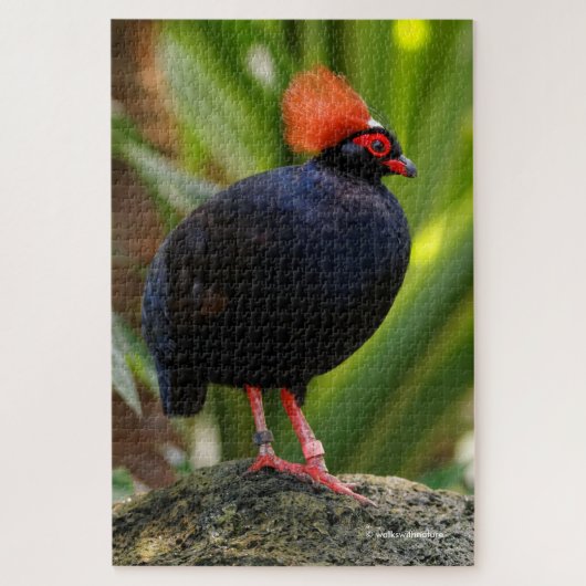 Atemberaubende Rodelholzpartridge Puzzle (Vertikal)
