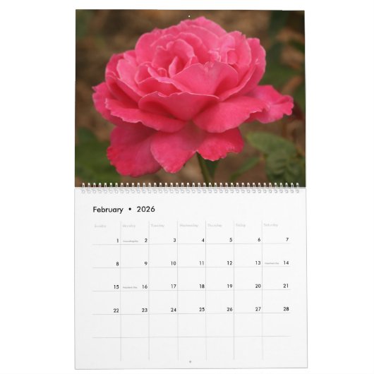 Atemberaubende Rose Kalender (Feb 2026)