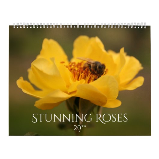 Atemberaubende Rose Kalender (Titelbild)