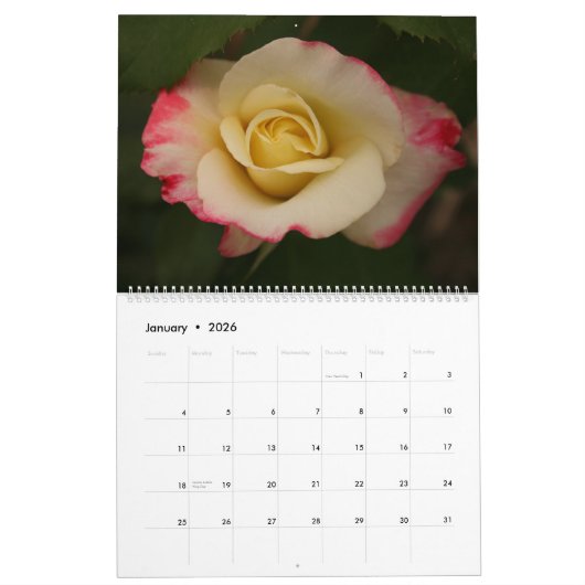 Atemberaubende Rose Kalender (Jan 2026)