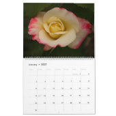 Atemberaubende Rose Kalender (Jan 2027)