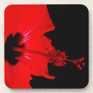 Atemberaubende Rote Blume Untersetzer
