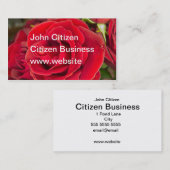 Atemberaubende rote Rose Visitenkarte (Vorne/Hinten)