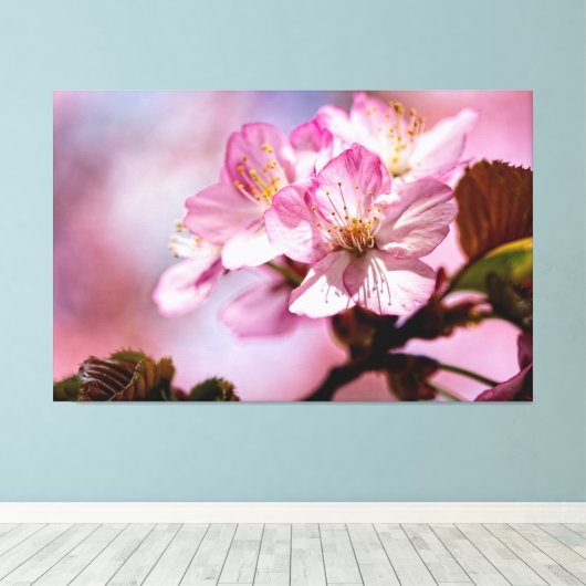 Atemberaubende Sakura-Blume mit rosa Farbtupfern Leinwanddruck (Insitu (Holzboden))