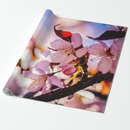 Atemberaubende Sakura-Blüten Geschenkpapier (Ungerollt)
