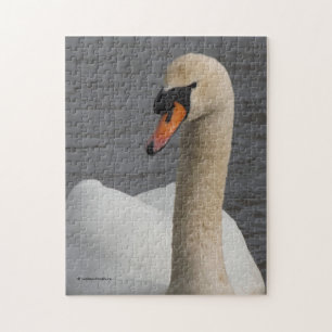 Atemberaubende Schließung eines Mute Swan im Hafen Puzzle