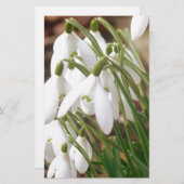 Atemberaubende Schneeverfahren Briefpapier (Vorne/Hinten)