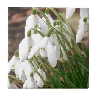 Atemberaubende Schneeverfahren Fliese