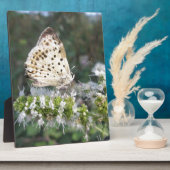 Atemberaubende Schokolade Fotoplatte (Seite)