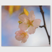 Atemberaubende Schönheit der Sakura-Blume Geschenkpapier (Flach)