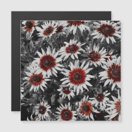 Atemberaubende schwarz-Mit Augen Susans-Magnetkart Magnetkarte