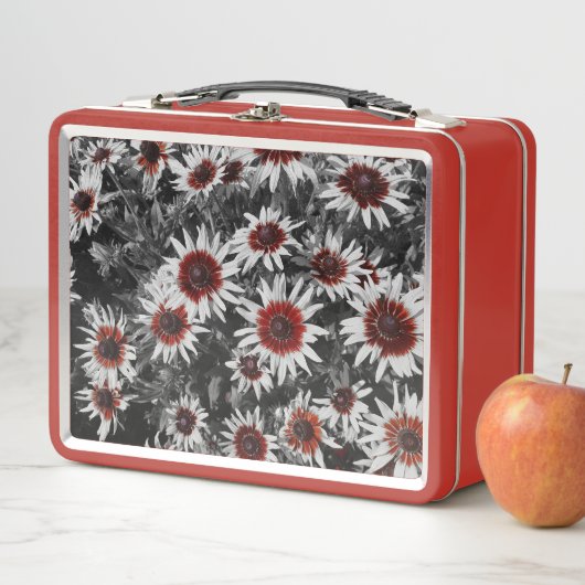 Atemberaubende Schwarz-Mit Augen Susans Metall Brotdose (Beispiel)