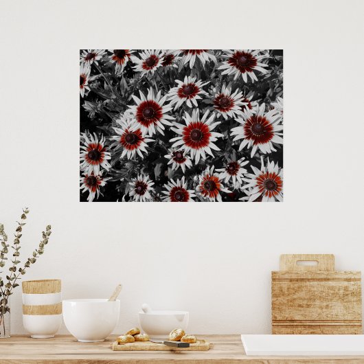 Atemberaubende Schwarz-Mit Augen Susans Poster (Küche)