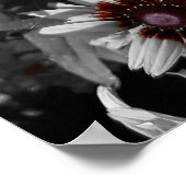 Atemberaubende Schwarz-Mit Augen Susans Poster (Ecke)