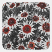 Atemberaubende Schwarz-Mit Augen Susans Quadratischer Aufkleber (Vorderseite)