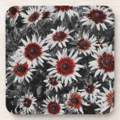 Atemberaubende schwarz-Mit Augen Susans-Untersetze Getränkeuntersetzer (Vorderseite)