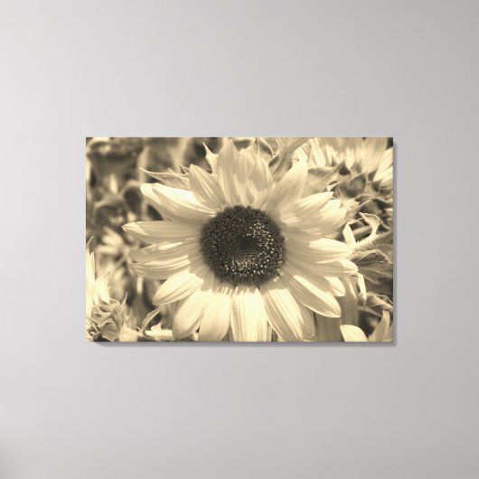 Atemberaubende Sonnenblume Leinwanddruck (Vorderseite)