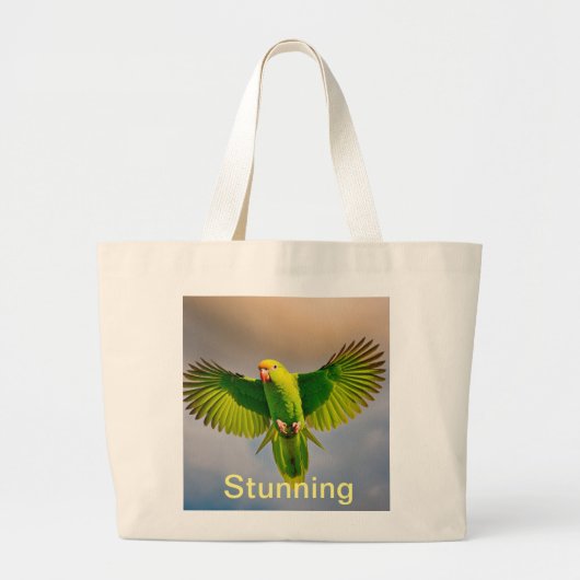 Atemberaubende Taschen (Vorne)