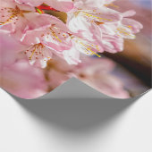 Atemberaubende und Phantastische rosa Sakura-Blume Geschenkpapier (Ecke)