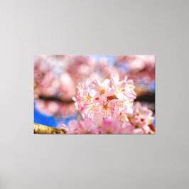 Atemberaubende und Phantastische rosa Sakura-Blume Leinwanddruck
