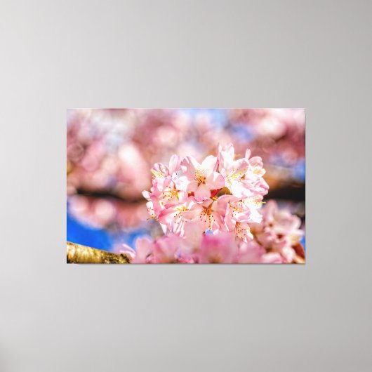 Atemberaubende und Phantastische rosa Sakura-Blume Leinwanddruck (Vorderseite)