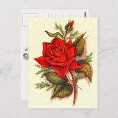 Atemberaubende Viktorianische Rote Rosen Bouquet Postkarte (Vorne/Hinten)