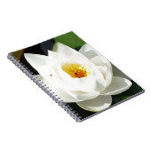 Atemberaubende Wasserlilie mit Gold Center Notizblock (Rechte Seite)