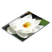 Atemberaubende Wasserlilie mit Gold Center Notizblock (Linke Seite)