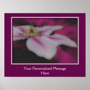 Atemberaubende weiße Clematis-Blume Personalisiert Poster