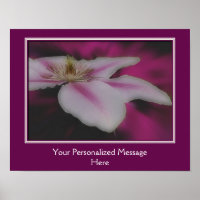 Atemberaubende White Clematics Blume Personalisier