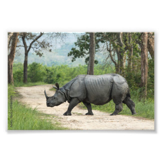 Atemberaubende Wildlife Art für Ihren Weltraum Fotodruck
