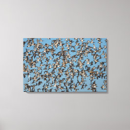 Atemberaubende Winterenten im Flug Leinwanddruck