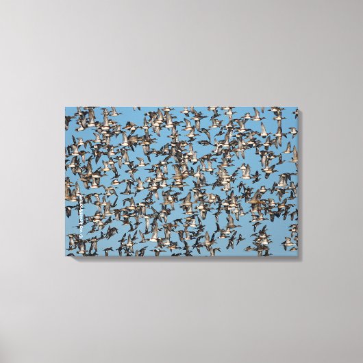 Atemberaubende Winterenten im Flug Leinwanddruck (Vorderseite)