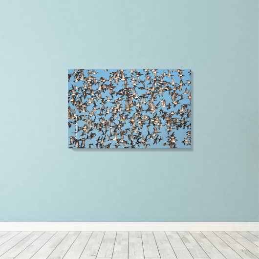 Atemberaubende Winterenten im Flug Leinwanddruck (Insitu (Holzboden))