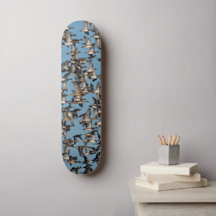 Atemberaubende Winterenten im Flug Skateboard