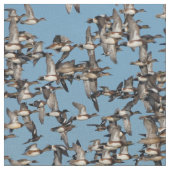 Atemberaubende Winterenten im Flug Stoff (Nahaufnahme)