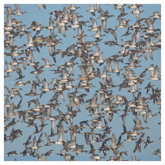 Atemberaubende Winterenten im Flug Stoff (Muster)