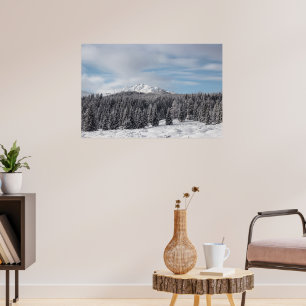 Atemberaubende Winterlandschaft Poster