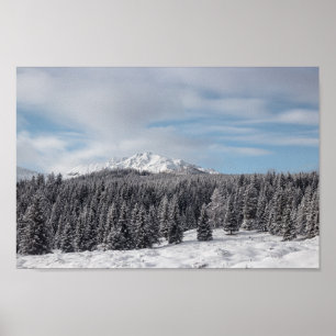 Atemberaubende Winterlandschaft Poster