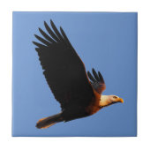 Atemberaubender Adler im Winter Sonnenuntergang Fliese (Vorderseite)