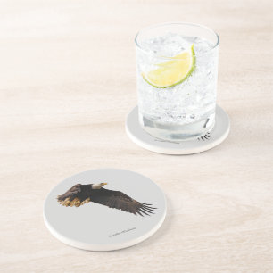 Atemberaubender Adlervogel im Flug Getränkeuntersetzer